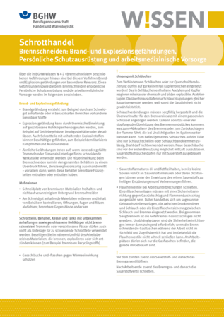 Vorschau auf den Artikel