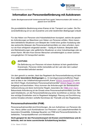 Vorschau auf den Artikel