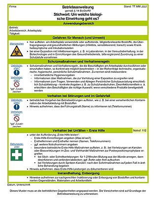 Vorschau auf den Artikel