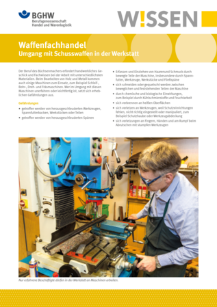 Vorschau auf den Artikel