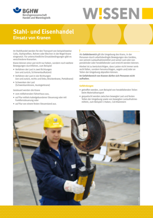 Vorschau auf den Artikel