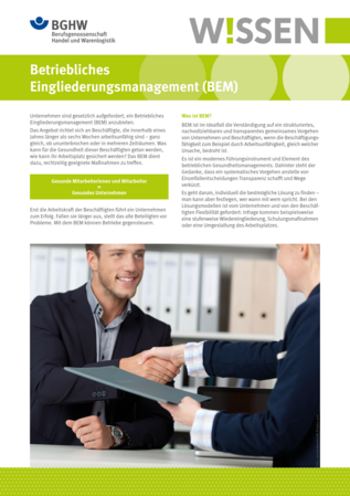 Vorschau auf den Artikel