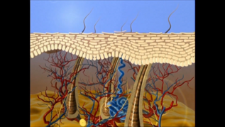 Vorschau auf den Artikel