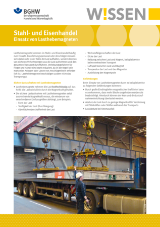 Vorschau auf den Artikel