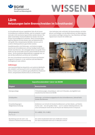 Vorschau auf den Artikel