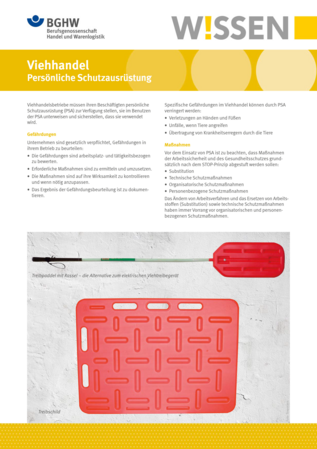 Vorschau auf den Artikel