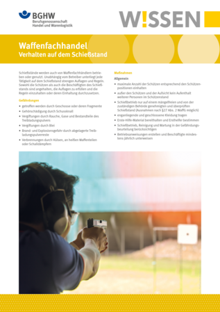 Vorschau auf den Artikel