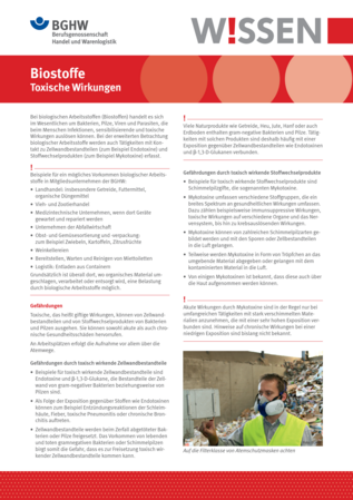 Vorschau auf den Artikel