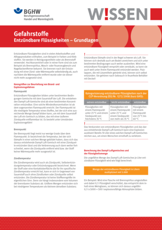 Vorschau auf den Artikel