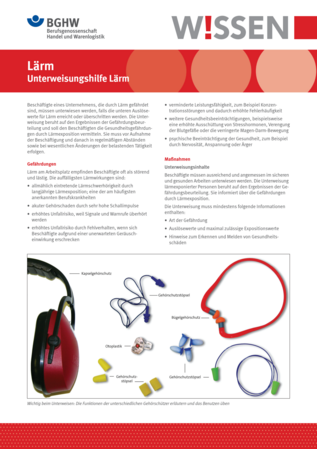 Vorschau auf den Artikel