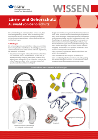 Vorschau auf den Artikel