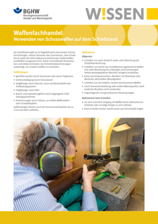 Vorschau auf den Artikel