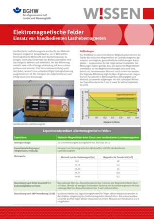 Vorschau auf den Artikel