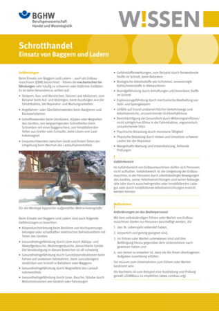 Vorschau auf den Artikel