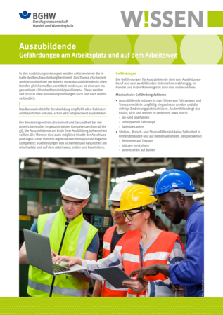 Vorschau auf den Artikel