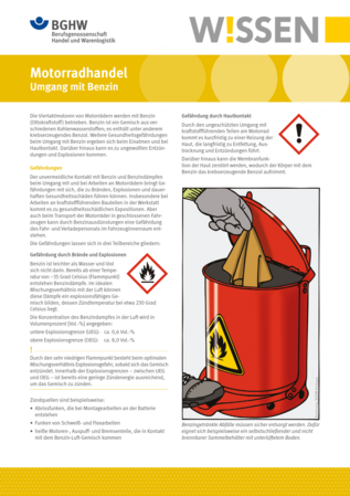 Vorschau auf den Artikel