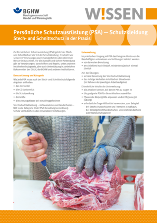 Vorschau auf den Artikel