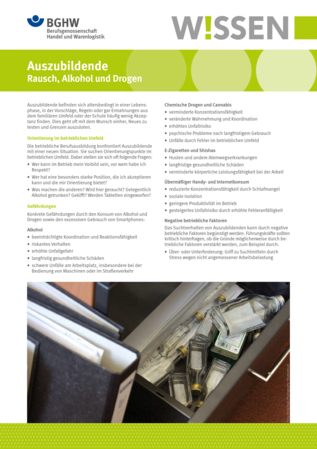 Vorschau auf den Artikel