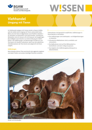 Vorschau auf den Artikel