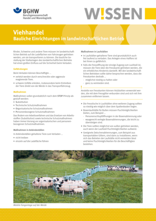 Vorschau auf den Artikel