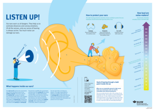 Informationen rund um Gehör, Gehörschutz und Lärmquellen