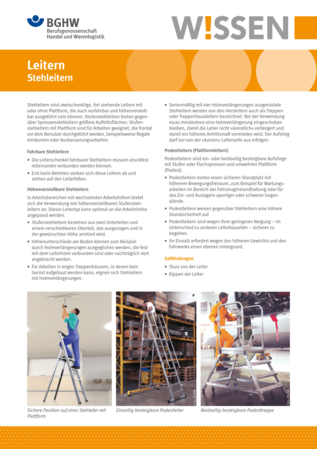 Vorschau auf den Artikel