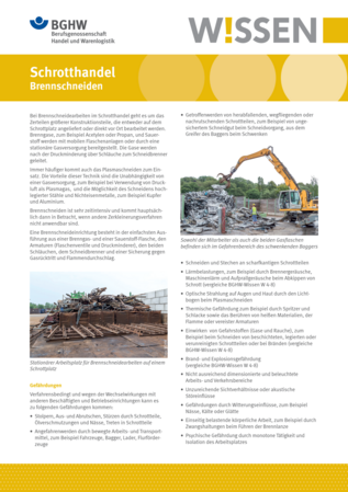 Vorschau auf den Artikel