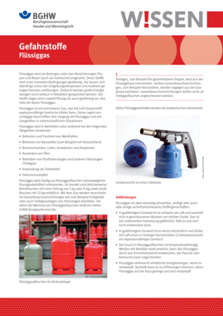 Vorschau auf den Artikel