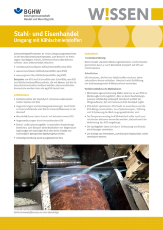 Vorschau auf den Artikel