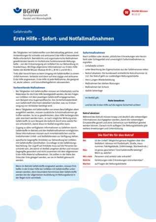Vorschau auf den Artikel