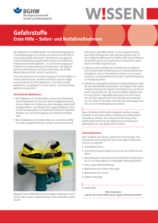 Vorschau auf den Artikel