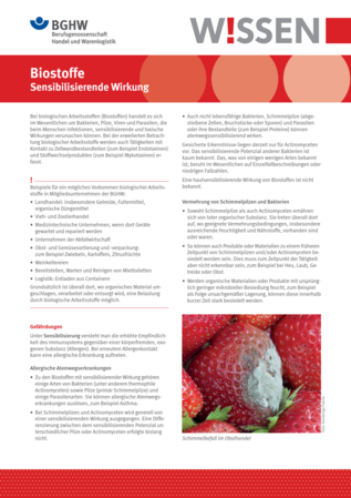 Vorschau auf den Artikel