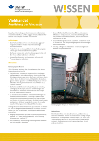 Vorschau auf den Artikel