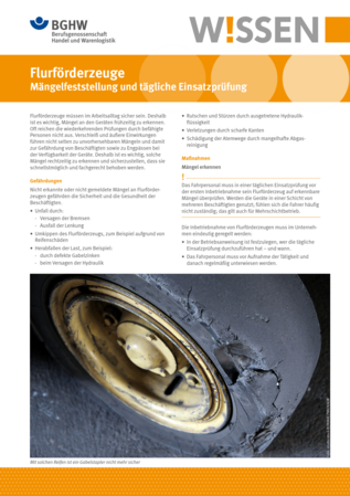 Vorschau auf den Artikel