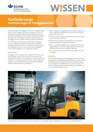 Vorschau auf den Artikel