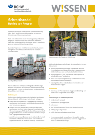 Vorschau auf den Artikel