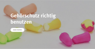 Vorschau auf den Artikel