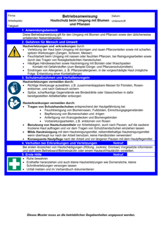 Vorschau auf den Artikel