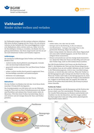 Vorschau auf den Artikel