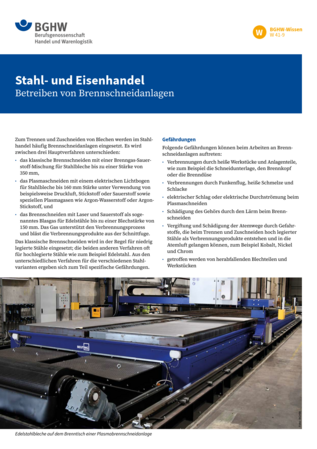 Vorschau auf den Artikel