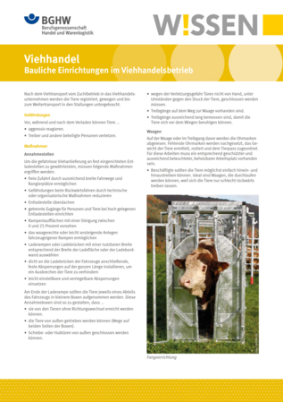 Vorschau auf den Artikel